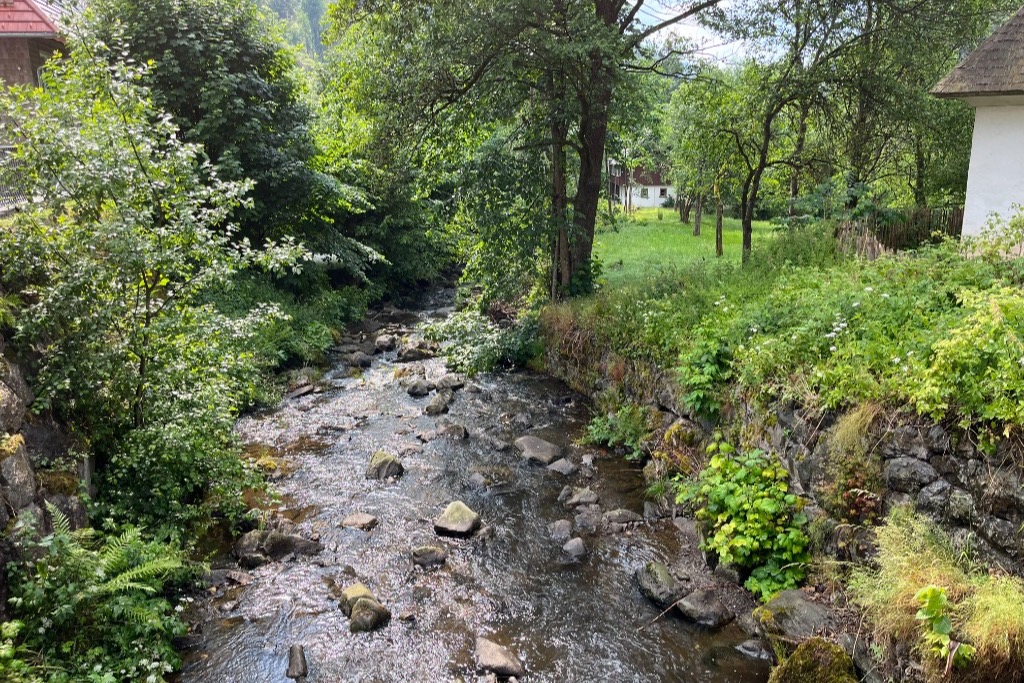A creek running past homes and gardens
